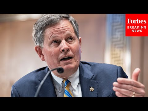 'Undercutting Our American Ranchers': Steve Daines Laments 'Barriers' To US Beef Trade In China