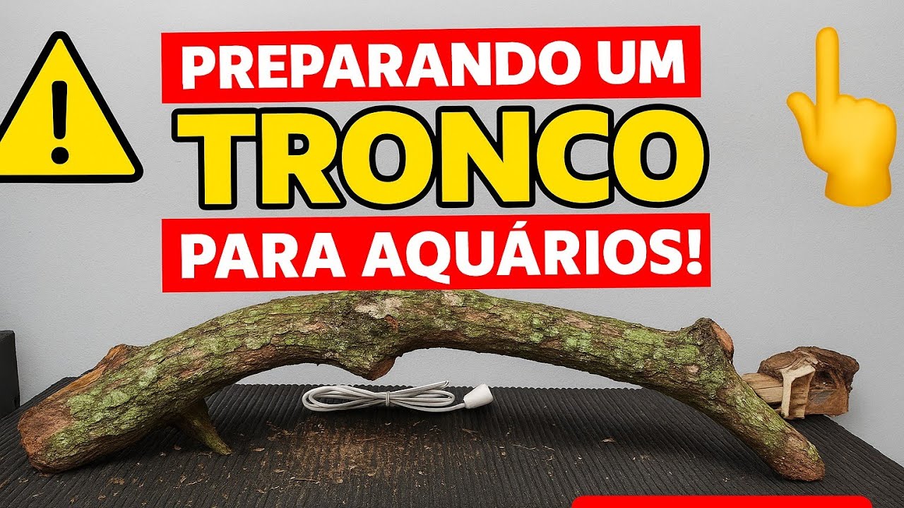 TRATANDO TRONCO PARA AQUÁRIO