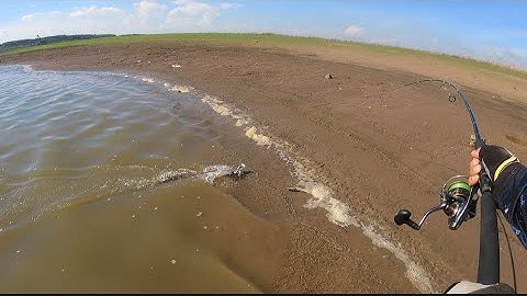 Câu cá lóc tự nhiên ở đập Sông Ray | Vô mùa cào cá sắt