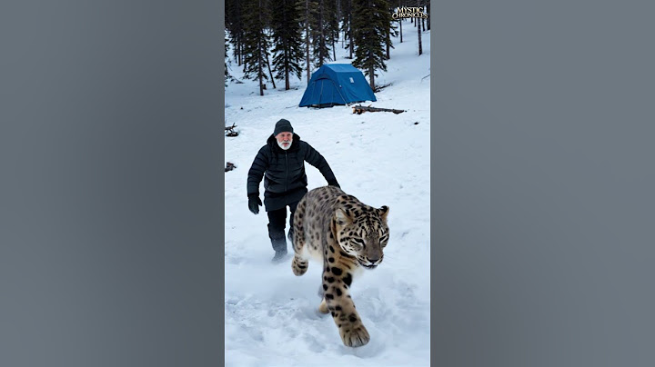¡Una madre leopardo de las nieves salva a su cachorro con la ayuda de un anciano! #animales #anim...