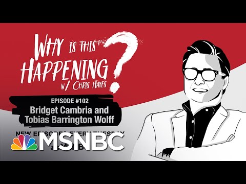 Chris Hayes Podcast With Bridget Cambria & Tobias Barrington Wolff | Why Is This Happening? - Ep 102
