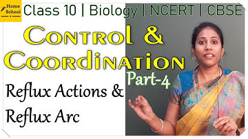 Control and Coordination | Part 4 | Class 10 Biology | CBSE | NCERT 2022