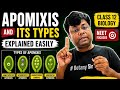 Apomixis and Its Types Explained Easily | Class 12 Biology | NEET