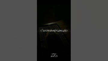 من كان يريد العزه فالله العزه جميعا #سورة_فاطر #ياسر_الدوسري #تأدب_إنه_يراك #تلاوة_خاشعة #قران_كريم