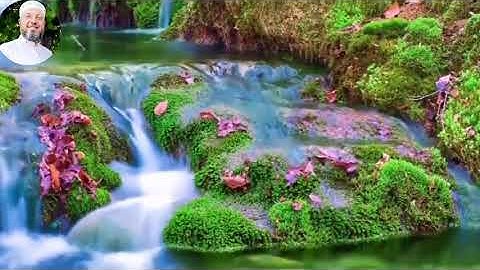 من سورة المطففين 22-36 بصوت الشيخ محمود المبيض