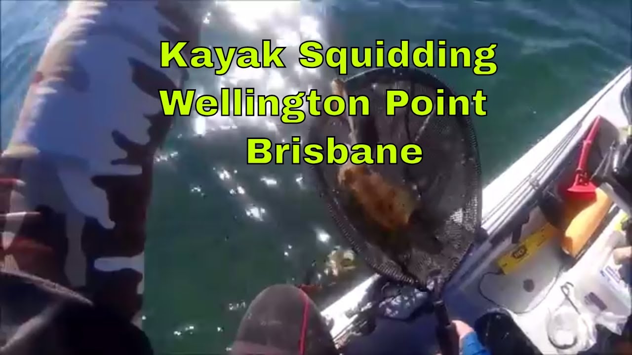 Kayak Squidding, Wellington Point,Brisbane, Australia YouTube
