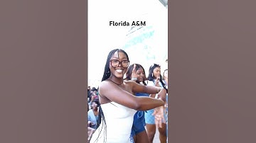 Zeta Phi Beta sorority strolling on the campus of FAMU 🕊️💙🤍 Fall semester ‘24 📸 shotsbystapleton