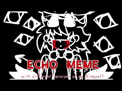 ECHO MEME//animation//⚠️WARNING FLASHING⚠️