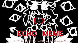 ECHO MEME//animation//⚠️WARNING FLASHING⚠️