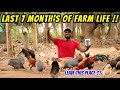 My last 7 months of farm life  im leave this farm 