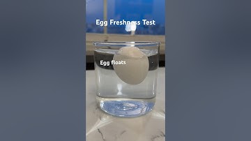 Egg Freshness Test 😲 #healthtips #healthhacks #foodhacks #nutritiontips #shorts