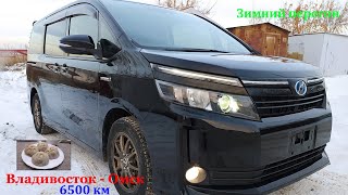 Гололёд , Коровы , авто из Кореи ! Зимний перегон Владивосток - Омск 2022г! Toyota Voxy !