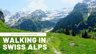 Windy Walk in Engelberg, Switzerland | Swiss Alps Ambience With Nature and Wind Sounds | 4K