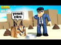 🐾 Floppa Sahiplenip Besliyoruz! 🐾 | Raise a Floppa | Roblox Türkçe