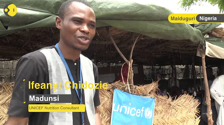 At least 50,000 Nigerian children could die of starvation: UN