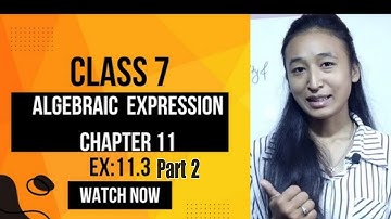 ALGEBRAIC EXPRESSION || CLASS 7 ||CHAPTER11 || EXERCISE 11.3 || PART 2 ||