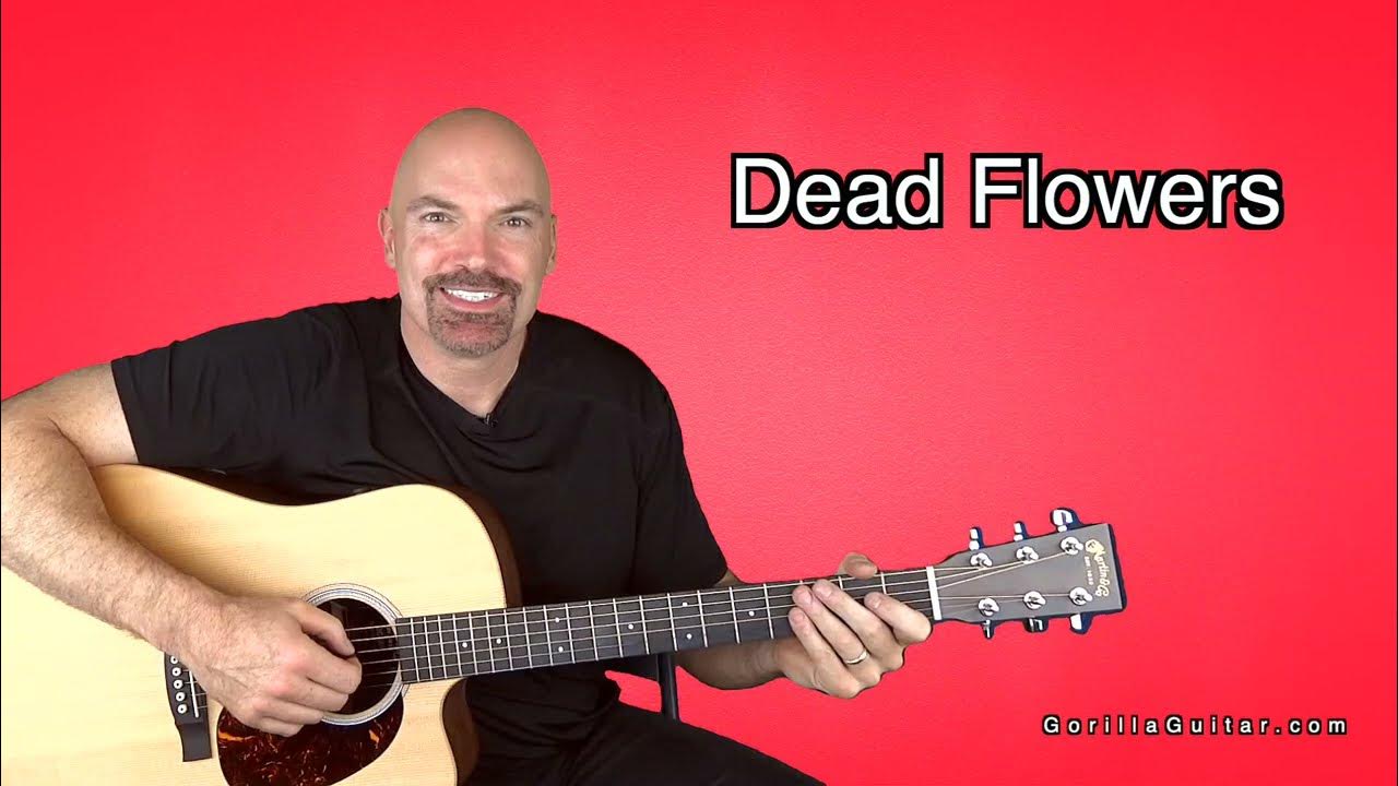 Song Dead Flowers Red HD 1080p YouTube