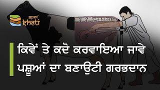 ਸਮਝੋ, ਪਸ਼ੂ ਦੇ ਟੀਕਾ ਭਰਾਉਣ ਦੀ ਤਕਨੀਕ ਨੂੰ I Know more about artificial insemination in cattle