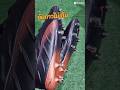 อัดกาวไม่เย็บ #ซ่อมสตั๊ด #nike #รองเท้าสตั๊ด #football