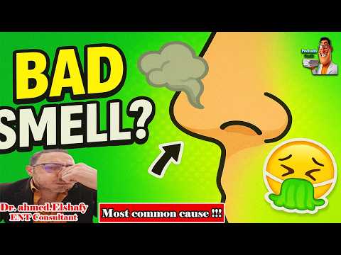 Why That Strange Smell In Your Nose Won T Go Away ProHealthConsults