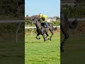 Cape Turf Club Breakfast gallops - 16 January 2025