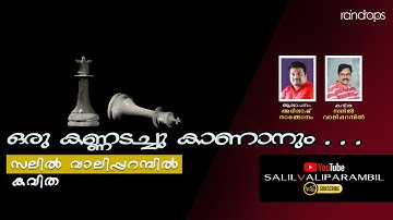 ഒരു കണ്ണടച്ചു കാണാനും – കവിത Oru Kannadachu Kananum Kavitha by Salil Valiparambil
