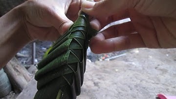 hướng dẫn cách làm con cào cào bằng lá dừa siêu dễ