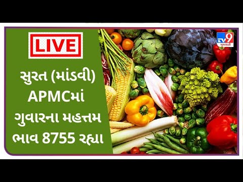 સુરતના માંડવી APMCમાં ગુવારના મહત્તમ ભાવ 8755 રહ્યા, જાણો જુદા-જુદા શાકભાજીના ભાવ |TV9NEWS