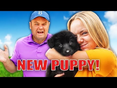 Surprising Dad With A $2000 Puppy! (?Bad Idea!)