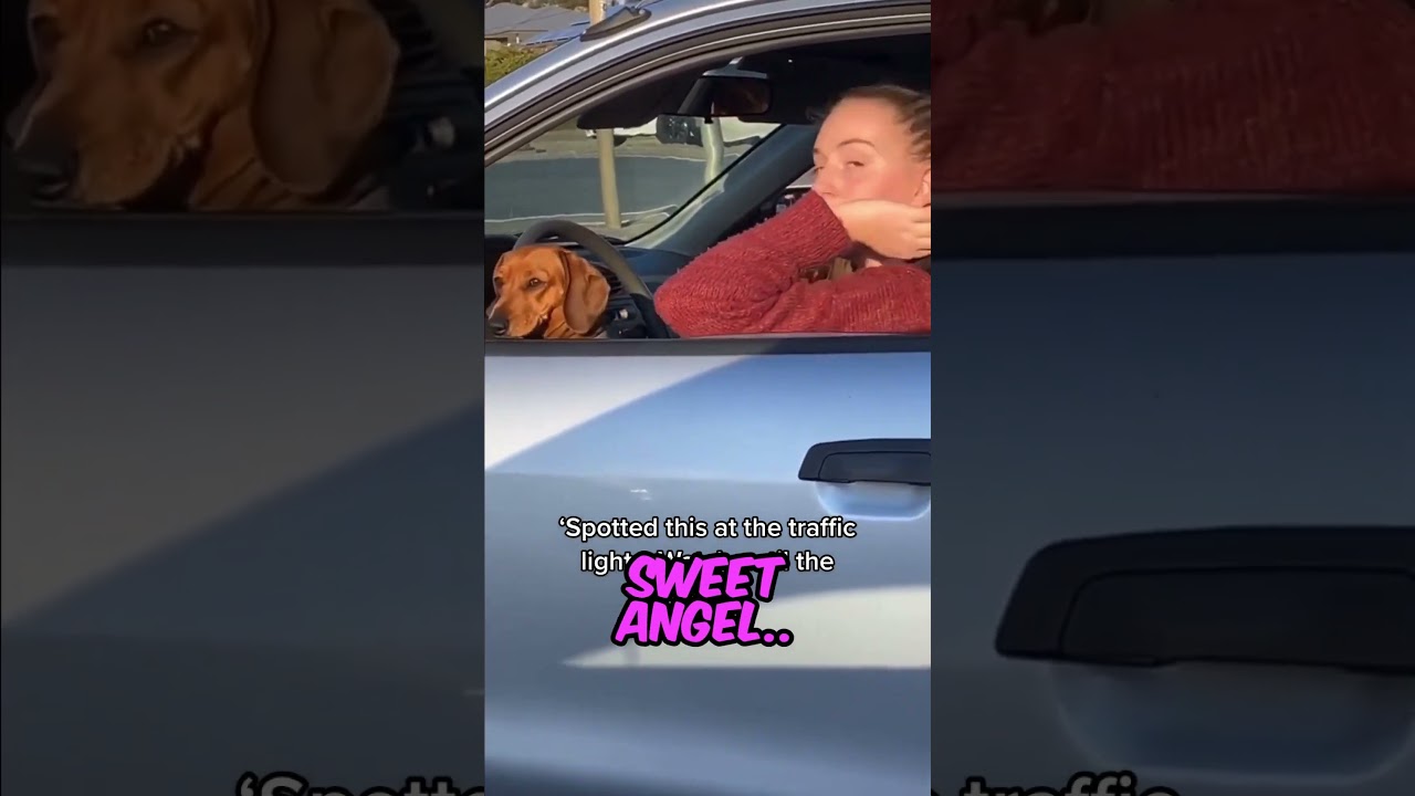 The greatest surprise at a red light ❤️