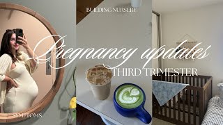 Pregnancy Updates, Third Trimester Symptoms, Building Nursery, & More