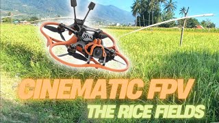 Cinematic FPV Flight Over Beautiful Rice Terraces || sawah dari udara #fpv #dji #cinematicfpv 