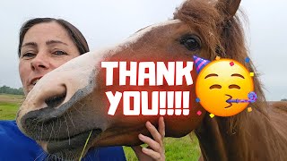 It's my birthday today! Here's a nice surprise! and a surprise for you! | Friesian Horses