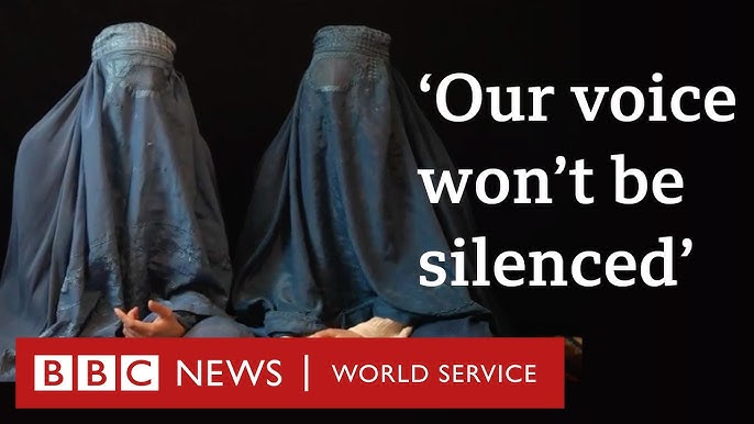 Hol mushuklar porno onlayn