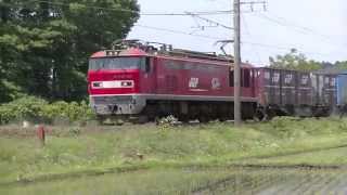 4096レ EF510-22 東能代〜南能代(信)2015 0523