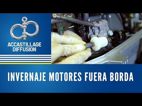 Invernaje motores fuera borda