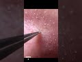 2022年4月16日