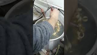 Kova Da Gerçek Altın Kapladık