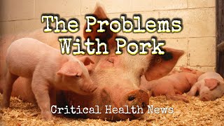 The Problems With Pork - Pharmacist Ben Fuchs - Moment of Truth