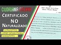 📑 CERTIFICADO NO NATURALIZADO (o Certificado CNE) para la Ciudadanía Italiana 🇮🇹