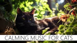 EXTREMELY RELAXING Music for Cats, reduce stress ❤️😺