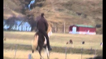 Hulinshjálmur Video