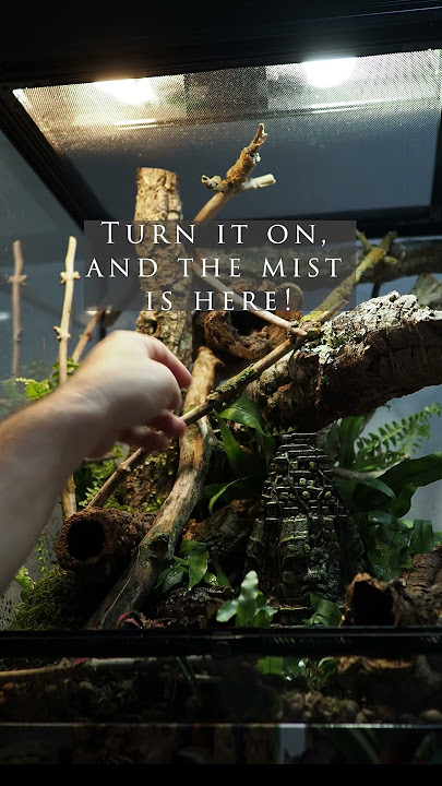 Repti Planet Fogger Lost City #novinky #terrarium #reptiles #reptiplanet #nature #nature