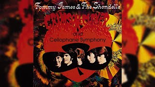 Tommy James & The Shondells - Crimson and Clover  Resimi