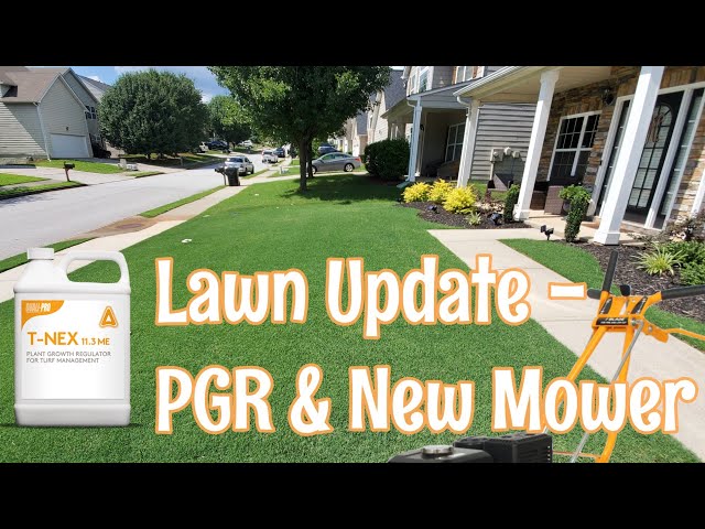 Lawn Update - PGR Results and New Reel Mower 