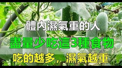 体内湿气重的人，3种食物一定要少吃，吃的越多湿气越重，别再傻傻不知道了 - 天天要闻
