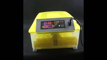 HHD 48 or 96 or 112 egg incubator operation