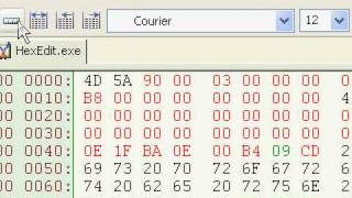 ViewRulerHexEditDemo.avi