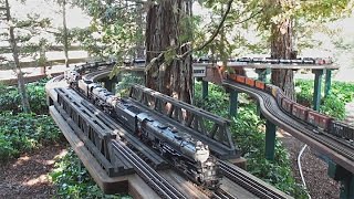 MIle Long Steam Train   Official Run