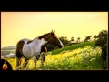 1 Hour Relaxing Country Music | Green Fields | Relax, Study, Ambience